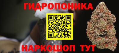 крисы Конаково